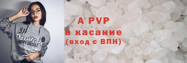 ПСИЛОЦИБИНОВЫЕ ГРИБЫ Осташков