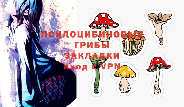 ПСИЛОЦИБИНОВЫЕ ГРИБЫ Осташков