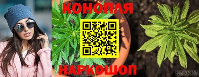 метадон Аргун